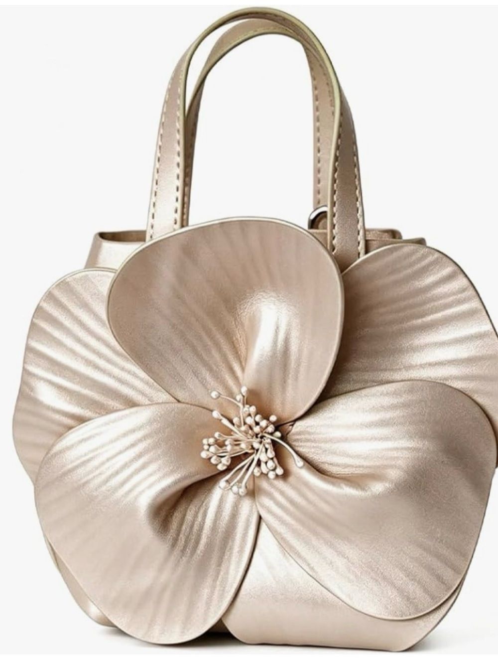 NEW Floral Applique Mini Bag in Champagne